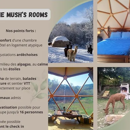 Mush's Saint-Julien-Labrousse